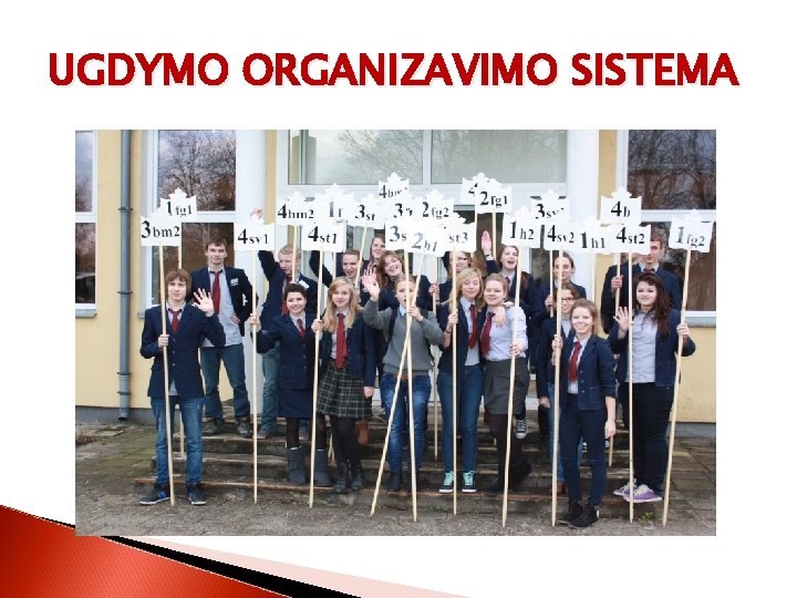 UGDYMO ORGANIZAVIMO SISTEMA 