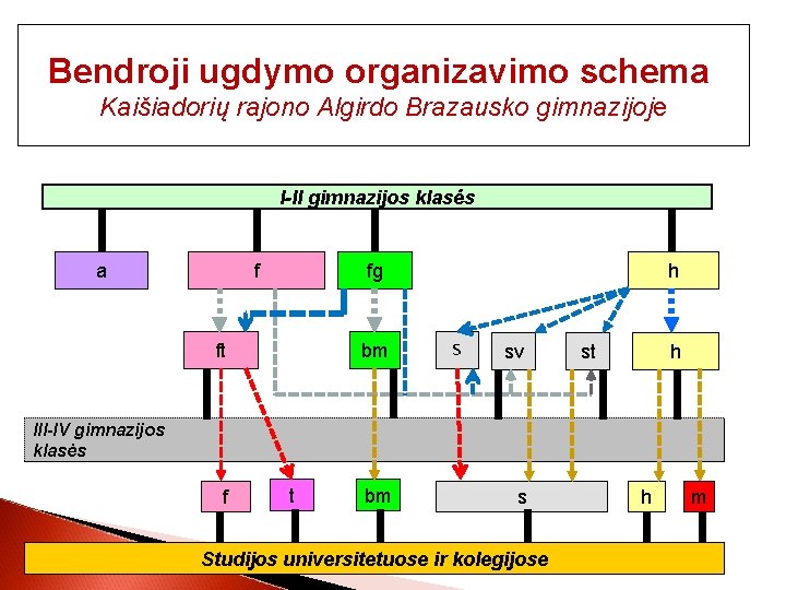 Bendroji ugdymo organizavimo schema Kaišiadorių rajono Algirdo Brazausko gimnazijoje I-II gimnazijos klasės f a