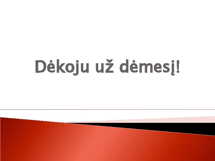 Dėkoju už dėmesį! 