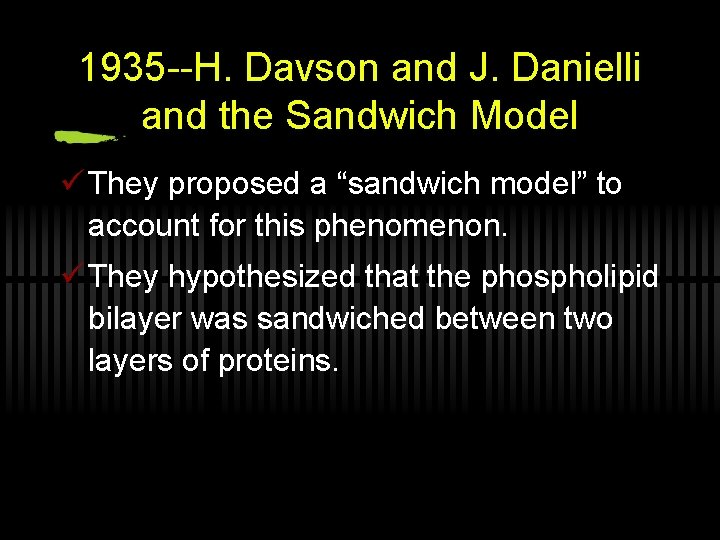 1935 --H. Davson and J. Danielli and the Sandwich Model ü They proposed a