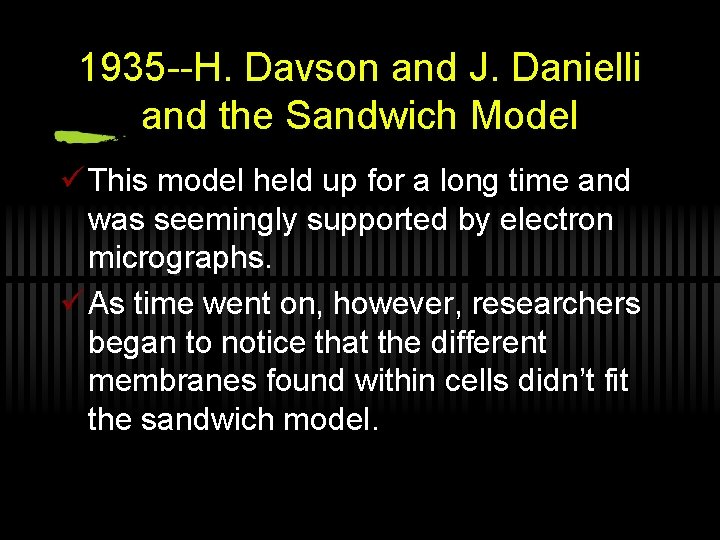 1935 --H. Davson and J. Danielli and the Sandwich Model ü This model held