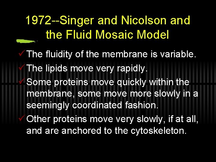 1972 --Singer and Nicolson and the Fluid Mosaic Model ü The fluidity of the