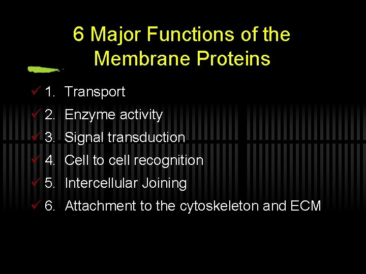 6 Major Functions of the Membrane Proteins ü 1. Transport ü 2. Enzyme activity