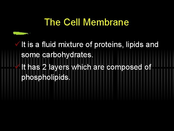 The Cell Membrane ü It is a fluid mixture of proteins, lipids and some