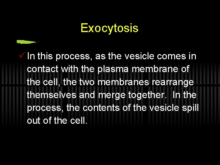 Exocytosis ü In this process, as the vesicle comes in contact with the plasma