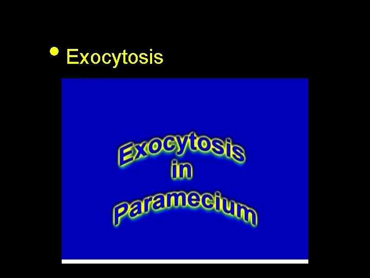  • Exocytosis 
