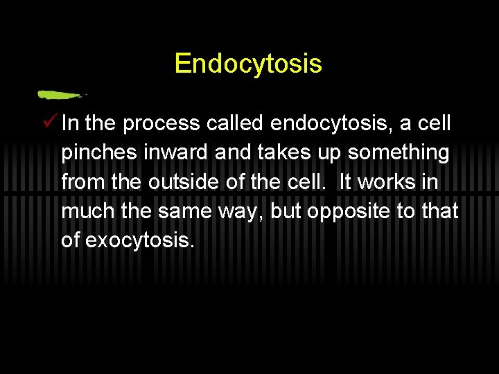 Endocytosis ü In the process called endocytosis, a cell pinches inward and takes up