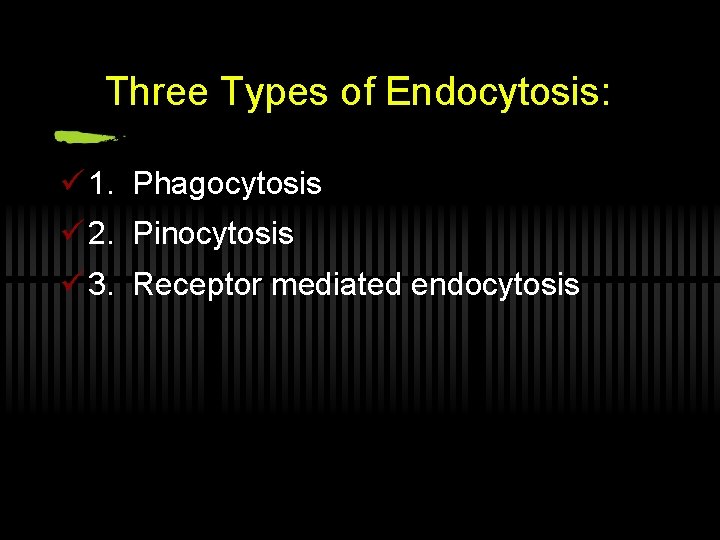 Three Types of Endocytosis: ü 1. Phagocytosis ü 2. Pinocytosis ü 3. Receptor mediated