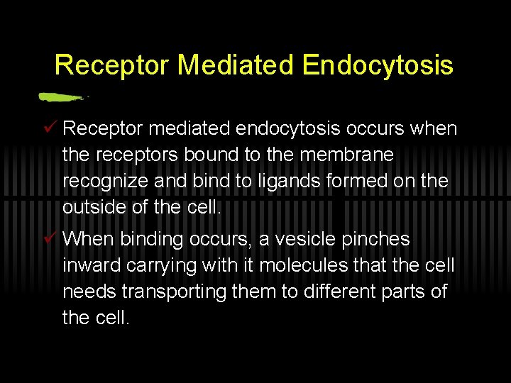 Receptor Mediated Endocytosis ü Receptor mediated endocytosis occurs when the receptors bound to the