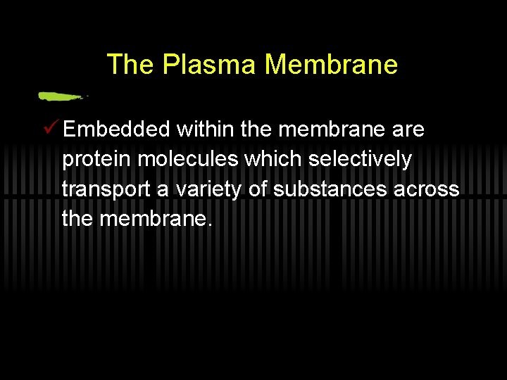 The Plasma Membrane ü Embedded within the membrane are protein molecules which selectively transport