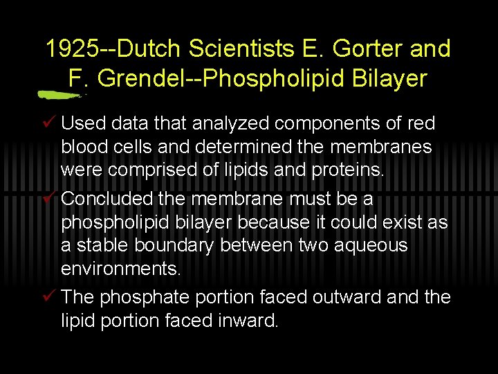1925 --Dutch Scientists E. Gorter and F. Grendel--Phospholipid Bilayer ü Used data that analyzed