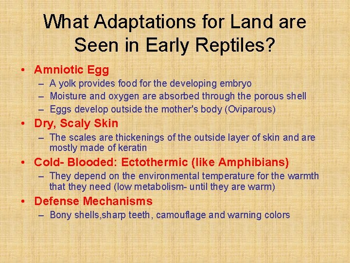 What Adaptations for Land are Seen in Early Reptiles? • Amniotic Egg – A