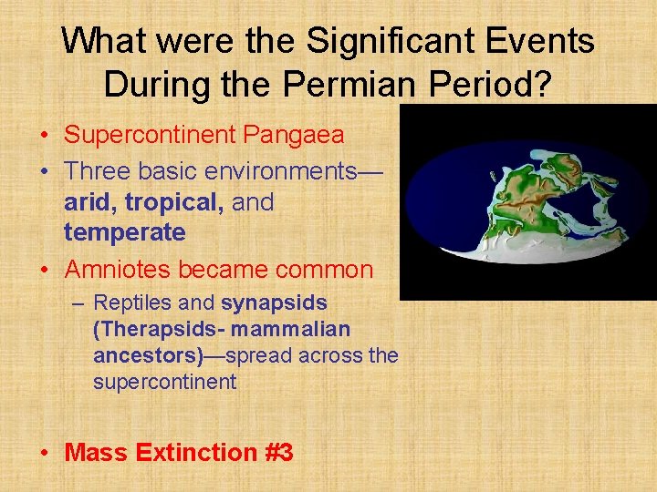 What were the Significant Events During the Permian Period? • Supercontinent Pangaea • Three