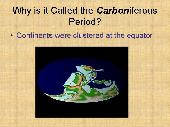 Why is it Called the Carboniferous Period? • Continents were clustered at the equator