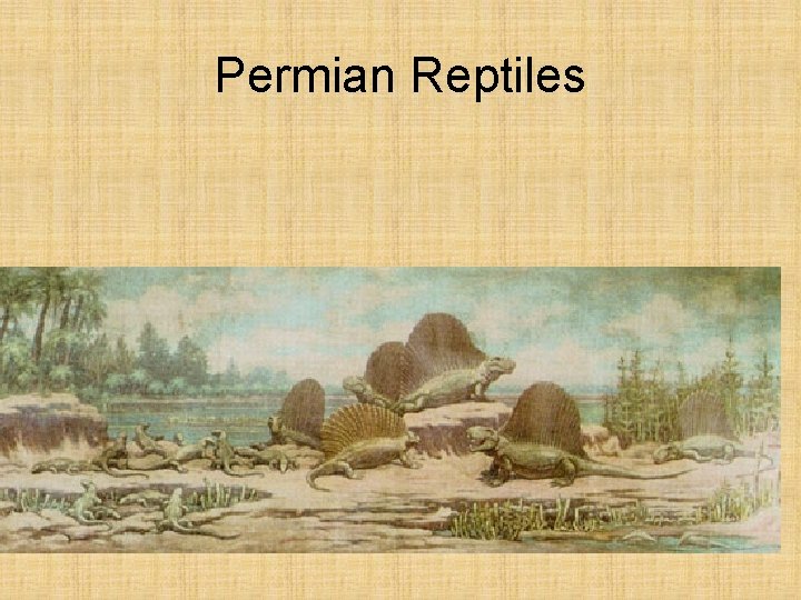 Permian Reptiles 
