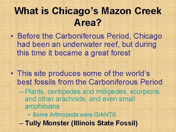 What is Chicago’s Mazon Creek Area? • Before the Carboniferous Period, Chicago had been