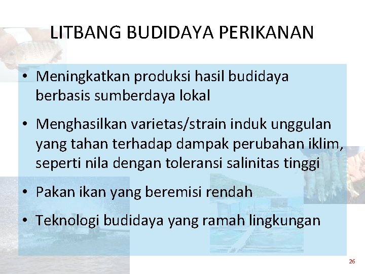 LITBANG BUDIDAYA PERIKANAN • Meningkatkan produksi hasil budidaya berbasis sumberdaya lokal • Menghasilkan varietas/strain