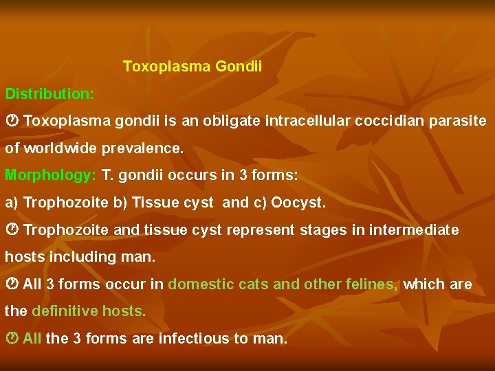 Toxoplasma Gondii Distribution Toxoplasma gondii is an obligate