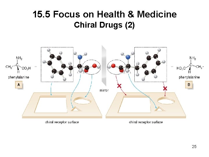 15. 5 Focus on Health & Medicine Chiral Drugs (2) 25 