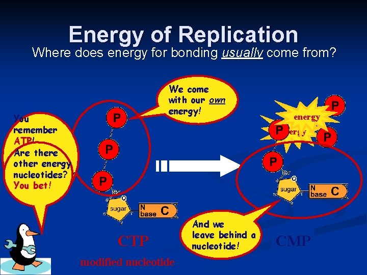 Energy of Replication Where does energy for bonding usually come from? We come with