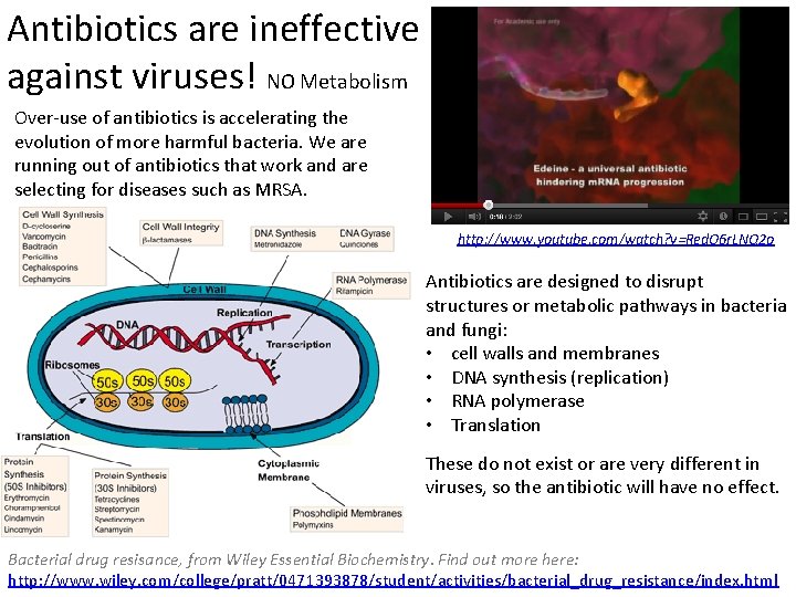 Antibiotics are ineffective against viruses! NO Metabolism Over-use of antibiotics is accelerating the evolution