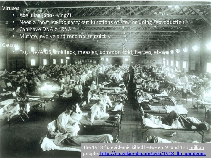 Viruses • Acellular (non-living? ) • Need a ‘host’ cell to carry out functions