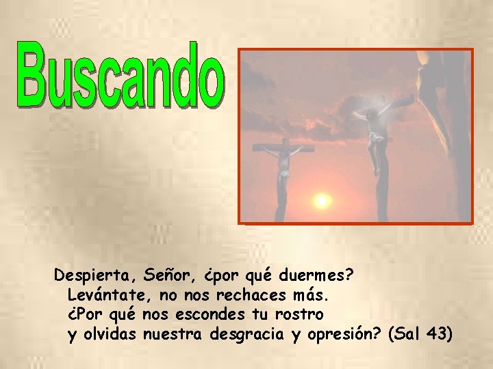 Despierta, Señor, ¿por qué duermes? Levántate, no nos rechaces más. ¿Por qué nos escondes