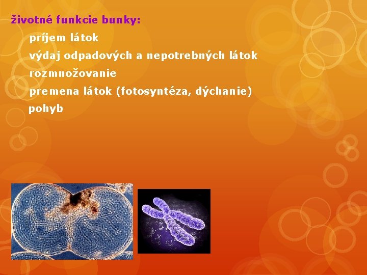 životné funkcie bunky: príjem látok výdaj odpadových a nepotrebných látok rozmnožovanie premena látok (fotosyntéza,