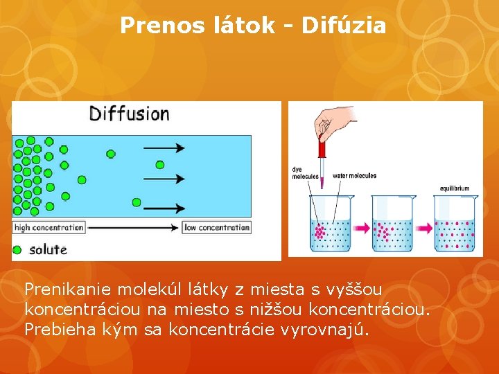 Prenos látok - Difúzia Prenikanie molekúl látky z miesta s vyššou koncentráciou na miesto
