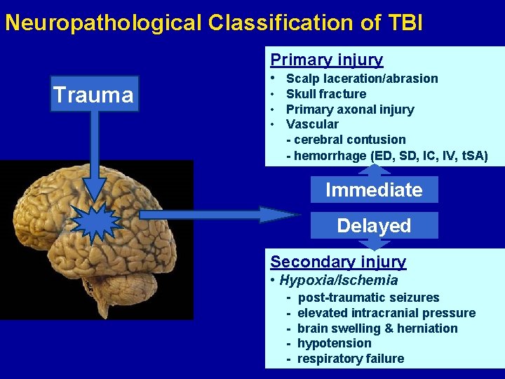 Neuropathological Classification of TBI Primary injury Trauma • Scalp laceration/abrasion • Skull fracture •
