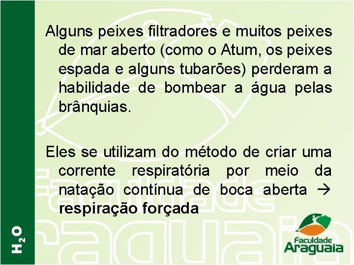 Alguns peixes filtradores e muitos peixes de mar aberto (como o Atum, os peixes
