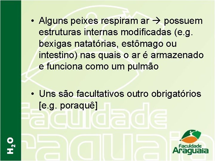  • Alguns peixes respiram ar possuem estruturas internas modificadas (e. g. bexigas natatórias,