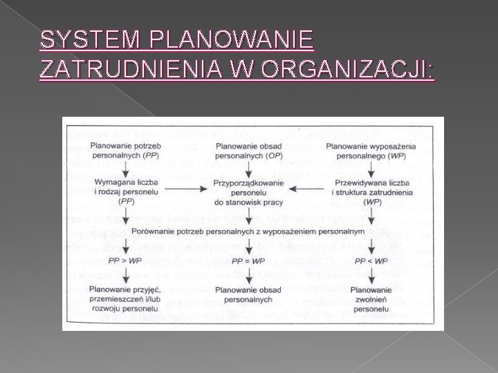 SYSTEM PLANOWANIE ZATRUDNIENIA W ORGANIZACJI: 