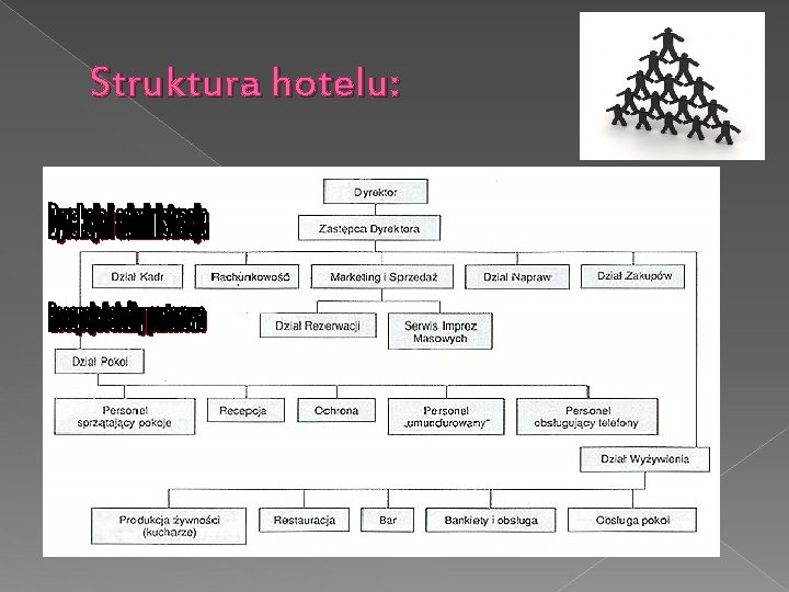 Struktura hotelu: 