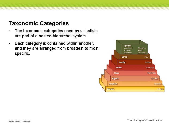Taxonomic Categories • The taxonomic categories used by scientists are part of a nested-hierarchal