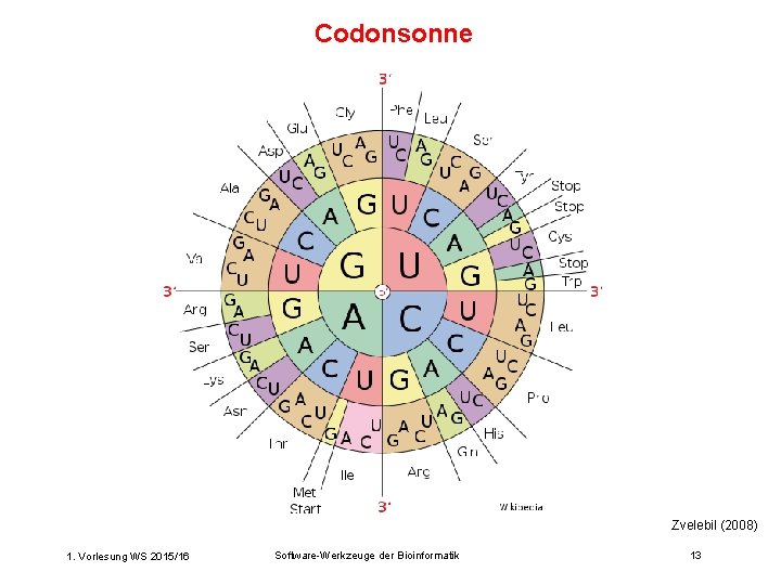 Codonsonne Zvelebil (2008) 1. Vorlesung WS 2015/16 Software-Werkzeuge der Bioinformatik 13 