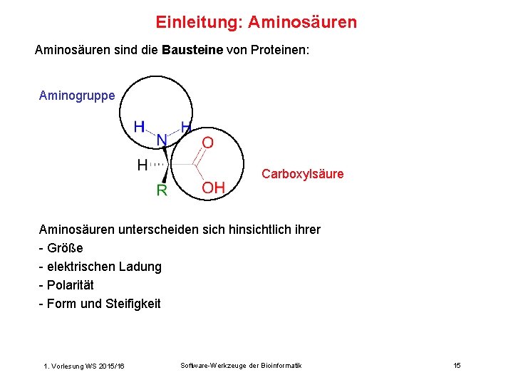 Einleitung: Aminosäuren sind die Bausteine von Proteinen: Aminogruppe Carboxylsäure Aminosäuren unterscheiden sich hinsichtlich ihrer