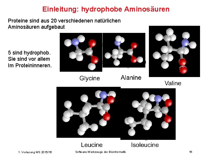 Einleitung: hydrophobe Aminosäuren Proteine sind aus 20 verschiedenen natürlichen Aminosäuren aufgebaut 5 sind hydrophob.