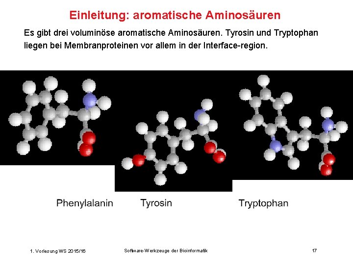 Einleitung: aromatische Aminosäuren Es gibt drei voluminöse aromatische Aminosäuren. Tyrosin und Tryptophan liegen bei
