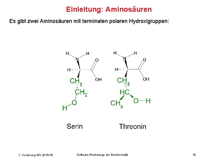 Einleitung: Aminosäuren Es gibt zwei Aminosäuren mit terminalen polaren Hydroxlgruppen: 1. Vorlesung WS 2015/16