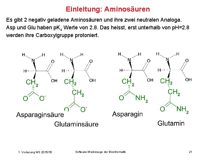 Einleitung: Aminosäuren Es gibt 2 negativ geladene Aminosäuren und ihre zwei neutralen Analoga. Asp