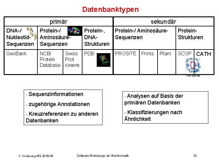 Datenbanktypen primär sekundär DNA-/ Nukleotid. Sequenzen Protein-/ Aminosäure. Sequenzen Protein-, DNAStrukturen Protein-/ Aminosäure. Sequenzen