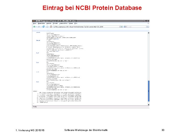 Eintrag bei NCBI Protein Database 1. Vorlesung WS 2015/16 Software-Werkzeuge der Bioinformatik 30 