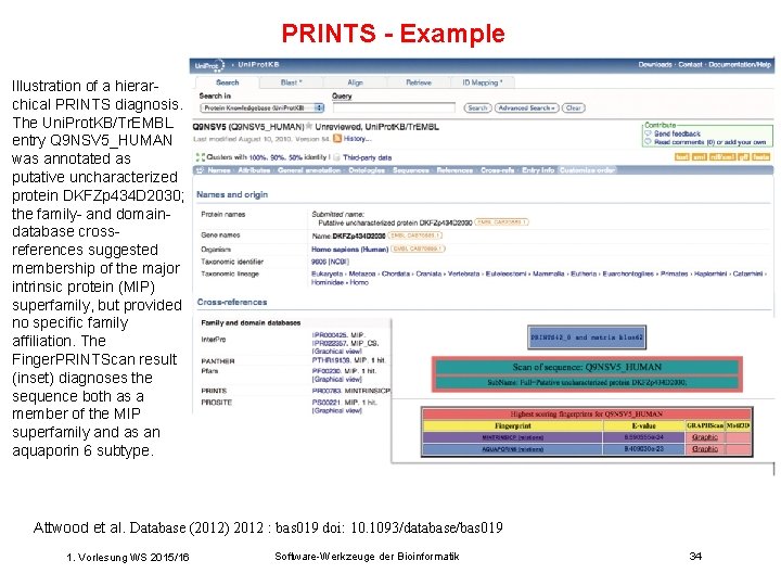 PRINTS - Example Illustration of a hierarchical PRINTS diagnosis. The Uni. Prot. KB/Tr. EMBL