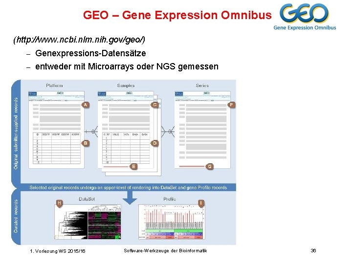 GEO – Gene Expression Omnibus (http: //www. ncbi. nlm. nih. gov/geo/) – Genexpressions-Datensätze –