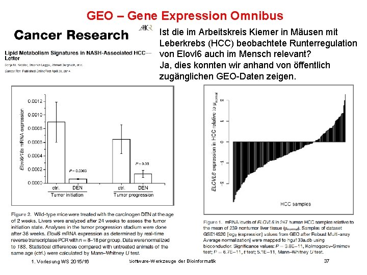 GEO – Gene Expression Omnibus Ist die im Arbeitskreis Kiemer in Mäusen mit Leberkrebs