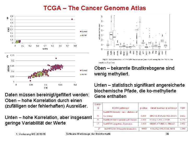 TCGA – The Cancer Genome Atlas Oben – bekannte Brustkrebsgene sind wenig methyliert. Daten