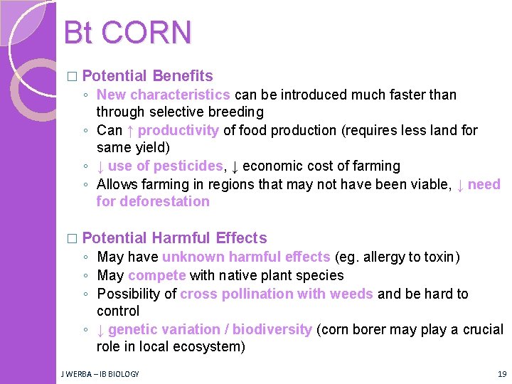 Bt CORN � Potential Benefits ◦ New characteristics can be introduced much faster than