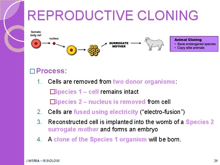 REPRODUCTIVE CLONING � Process: 1. Cells are removed from two donor organisms: �Species 1