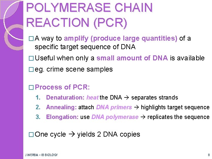 POLYMERASE CHAIN REACTION (PCR) �A way to amplify (produce large quantities) of a specific